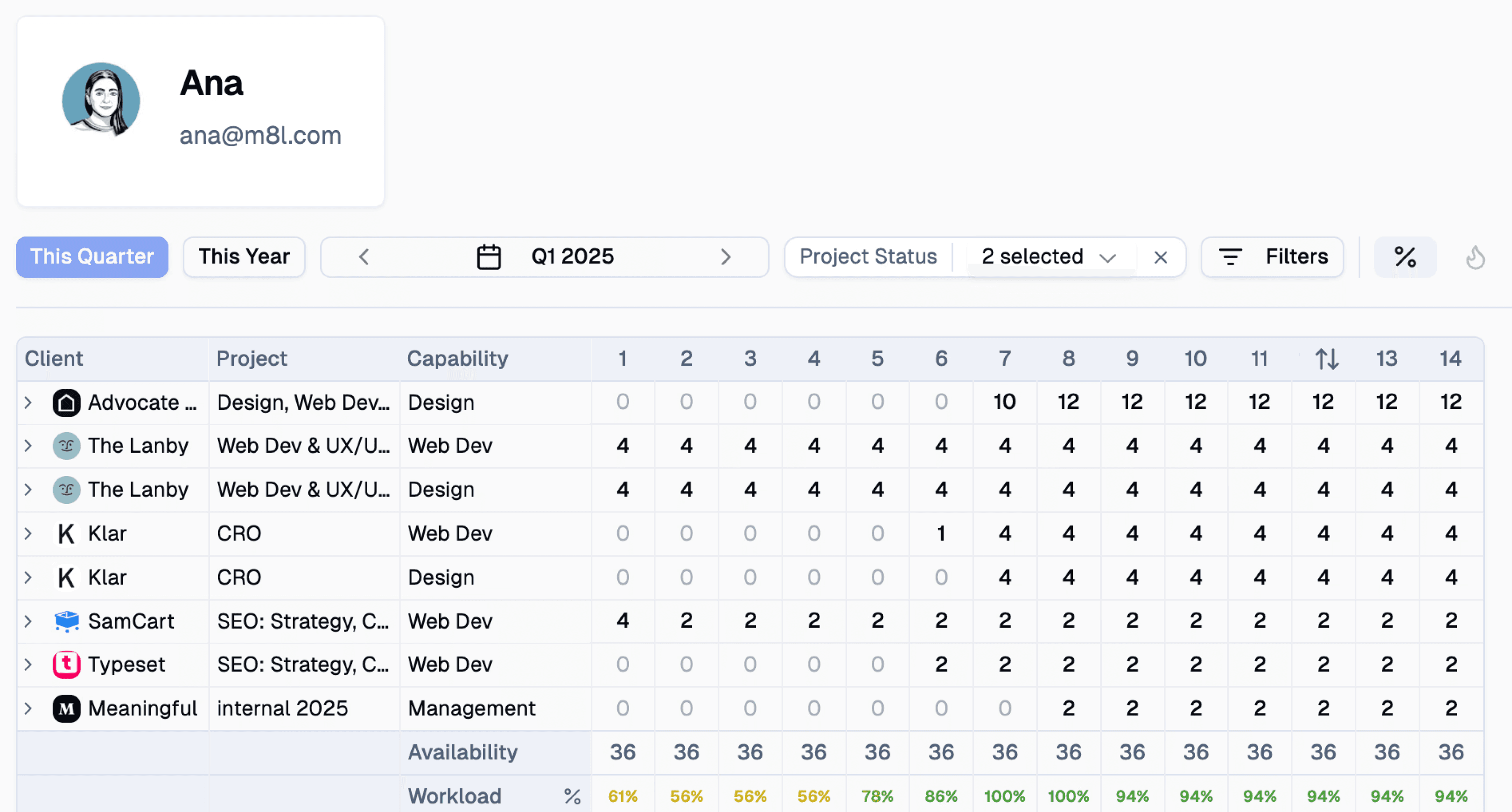 Team workload heatmap showing individual capacity across projects